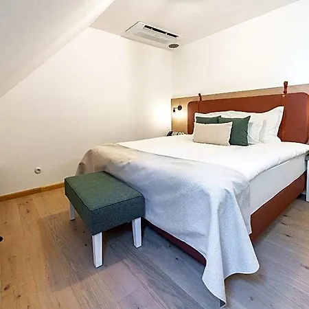 Hotel Czako
